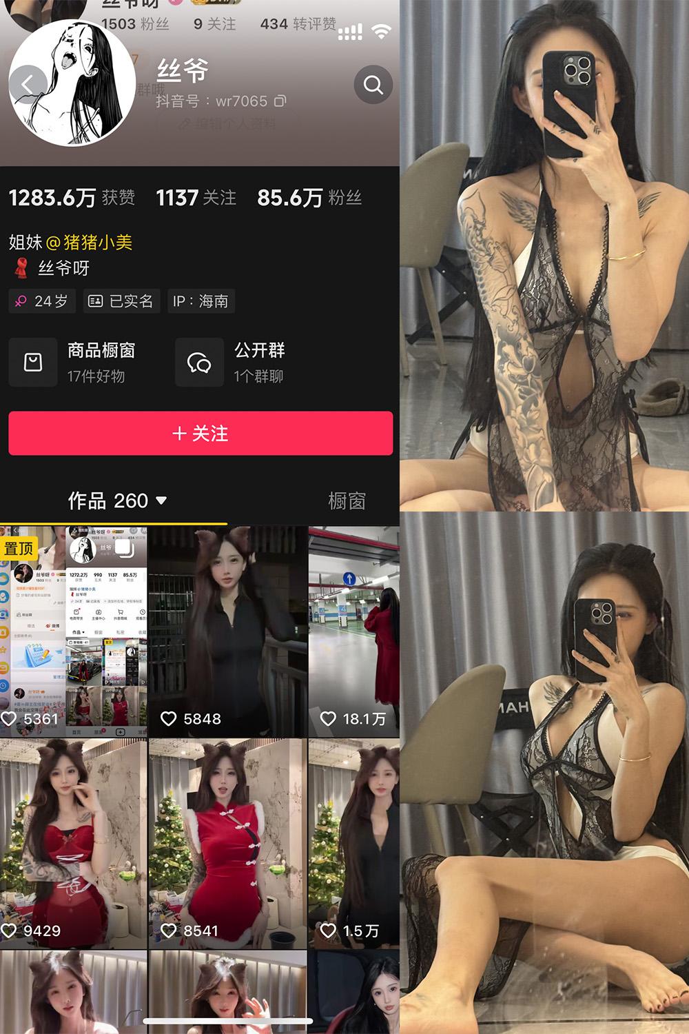 抖音 丝爷 微密圈子分享 NO.003期 【52P4V】