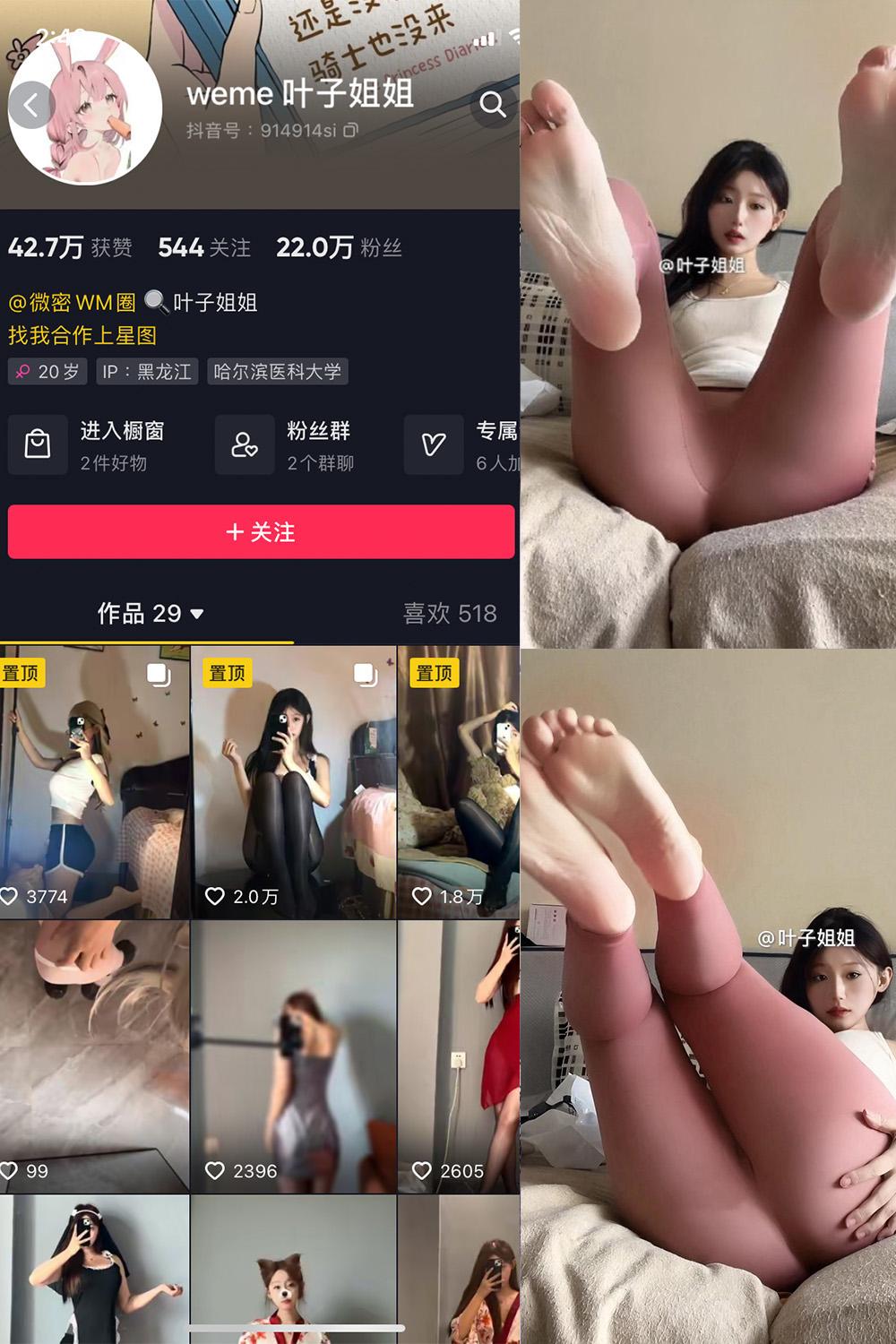 抖音 叶子姐姐 微密圈子分享 NO.027期 【17P3V】