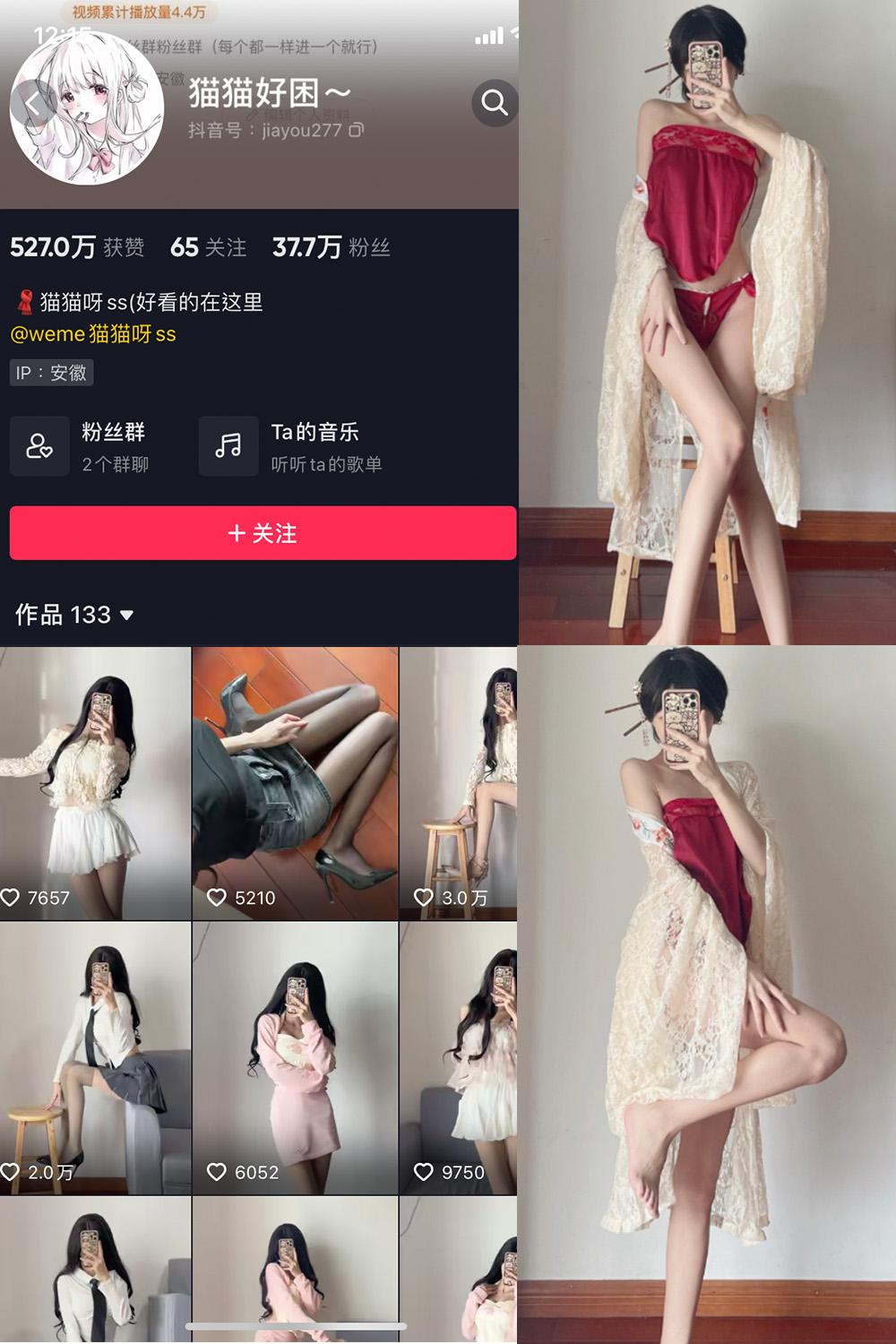 抖音 猫猫好困 微密圈子分享  NO.012期 【9P】