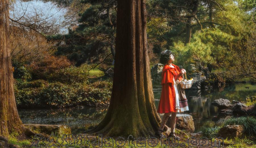 最近阿包也是兔娘出什么事了？阿包也是兔娘视频私房合集资源