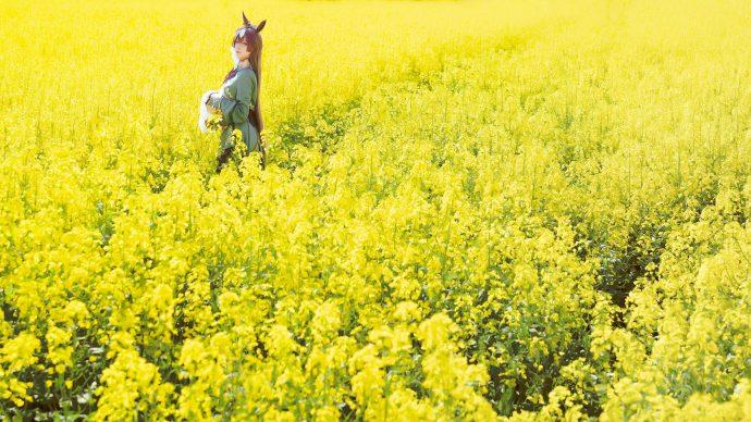 星之迟迟里见光钻COS：花海中，再现赛马娘的光钻之美