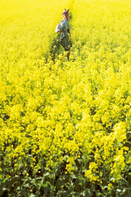 星之迟迟里见光钻COS：花海中，再现赛马娘的光钻之美