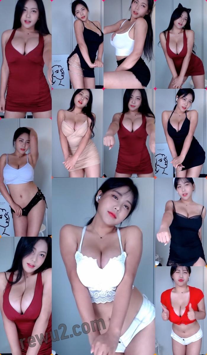 【韩国主播】Bj智贤 跳舞精选（10v/1.62g)