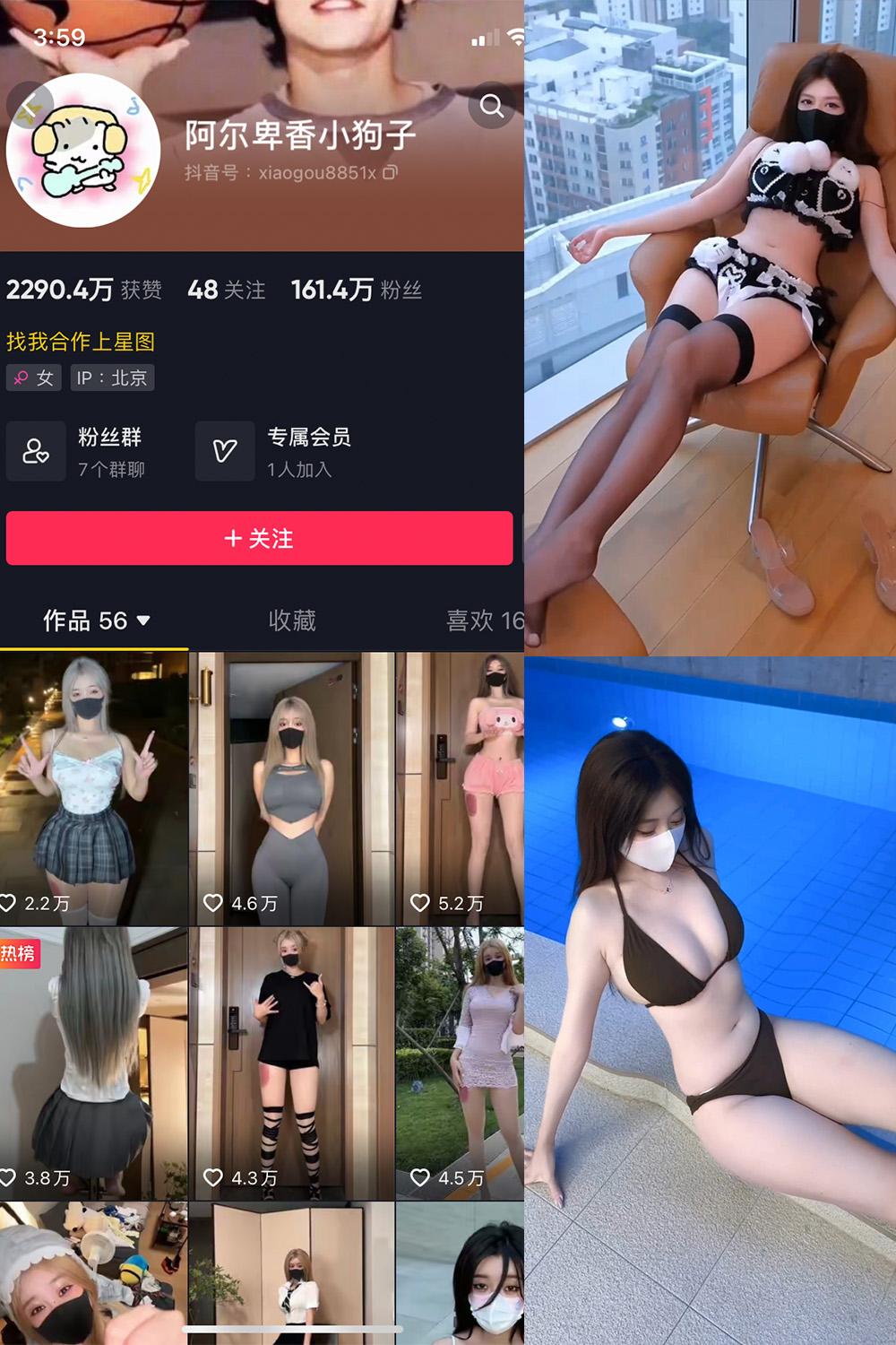 抖音 阿尔卑香小狗子 微密圈子分享  NO.062期 【8V】