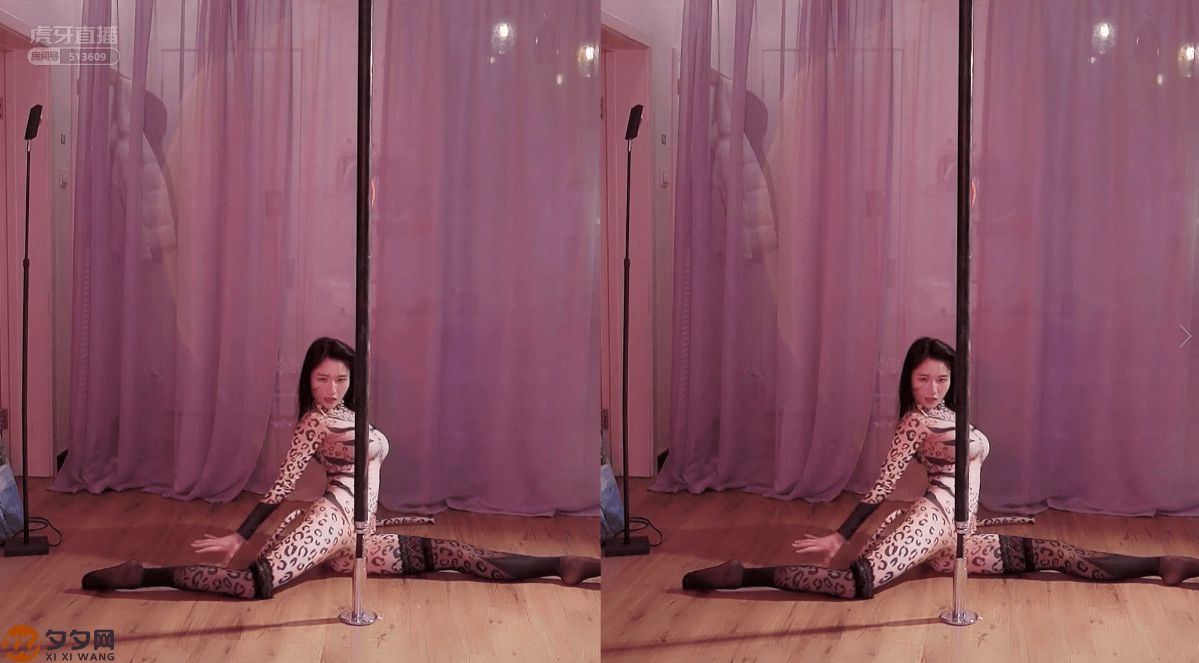 虎牙坏空空COS服装直播跳舞合集[23V/8.16G]