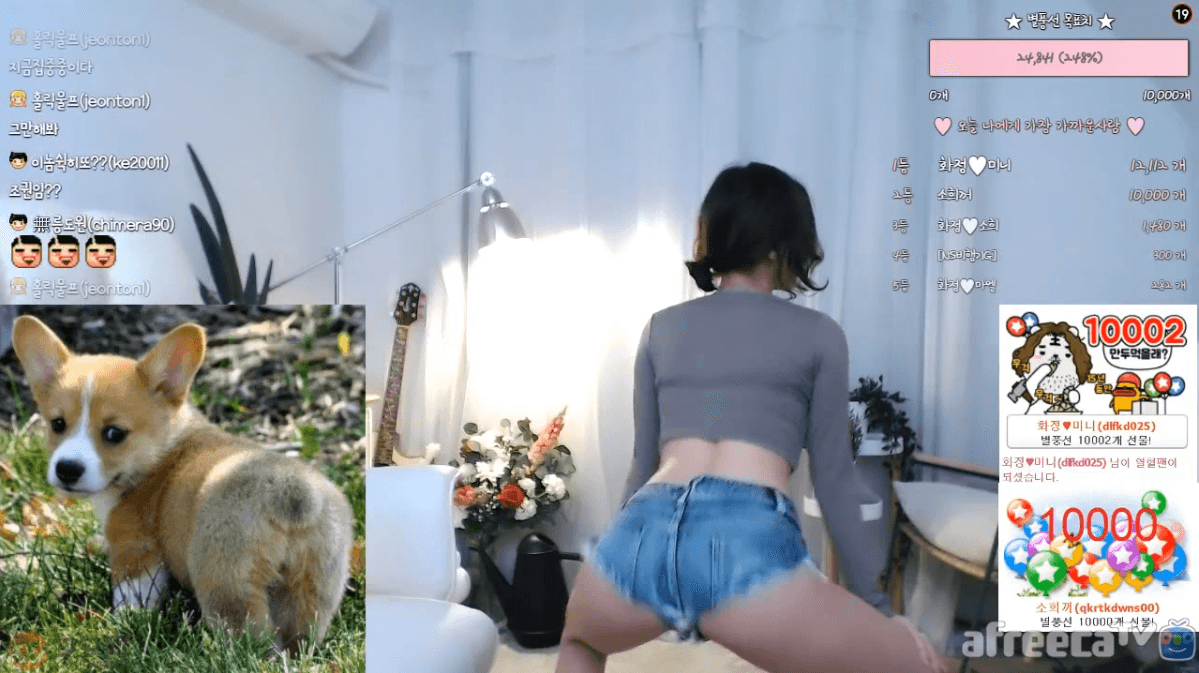 韩国主播「BJ花井」跳舞视频大合集 [164V/16.1G]