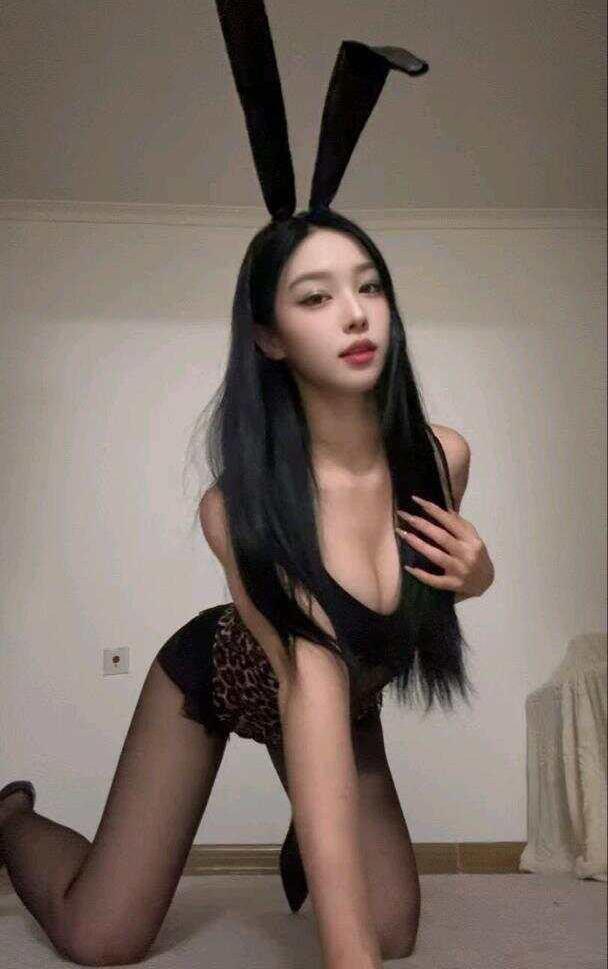 里不理 岛遇资源合集[持续更新2025.09.27]