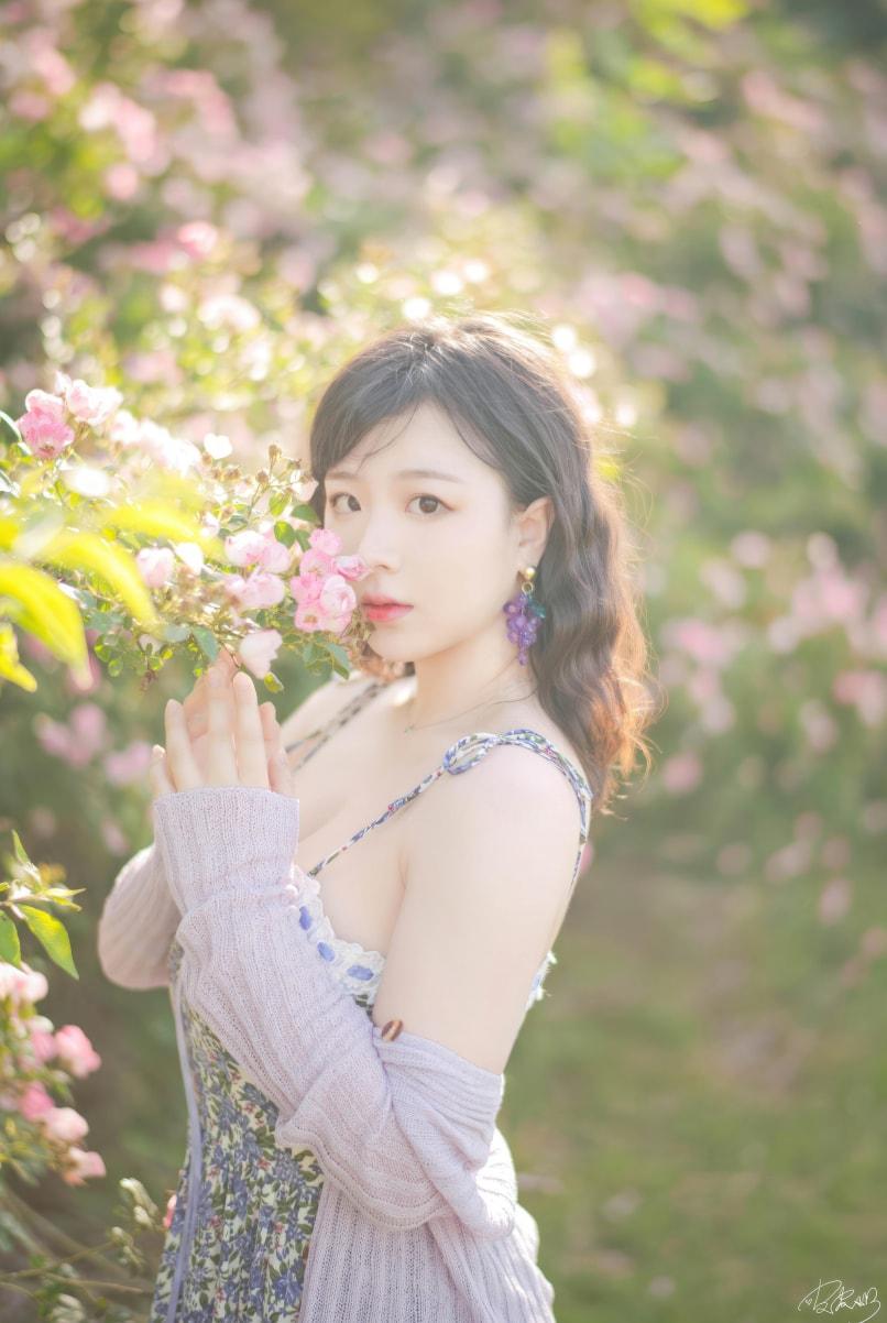 皮皮奶可可爱了啦 蔷薇花